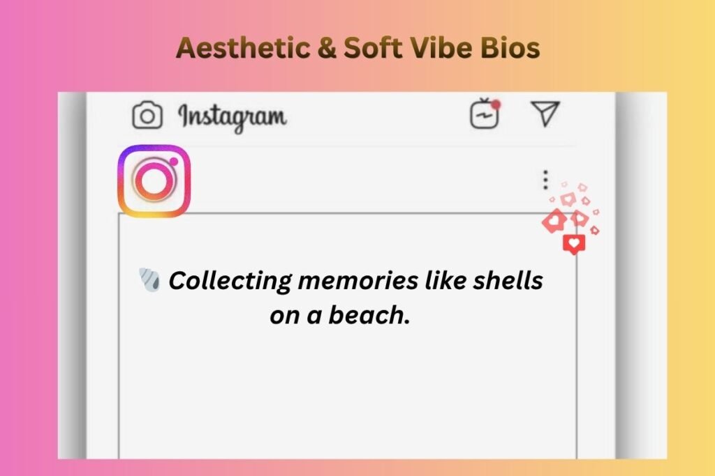 Aesthetic & Soft Vibe Bios