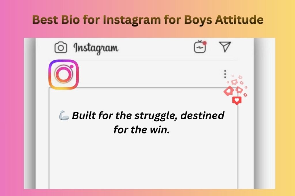 Best Bio for Instagram for Boys Attitude
