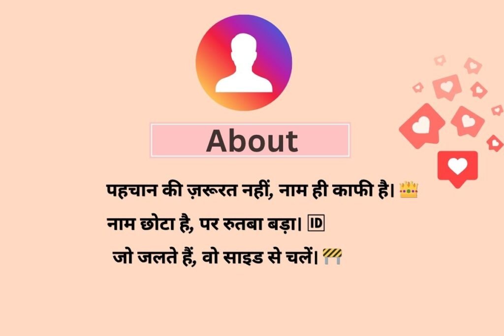Bio For Instagram For Boy Attitude In Hindi
