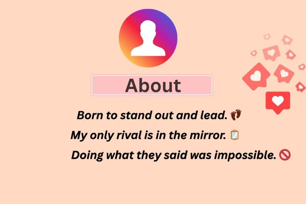 Bio For Instagram For Boy Attitude