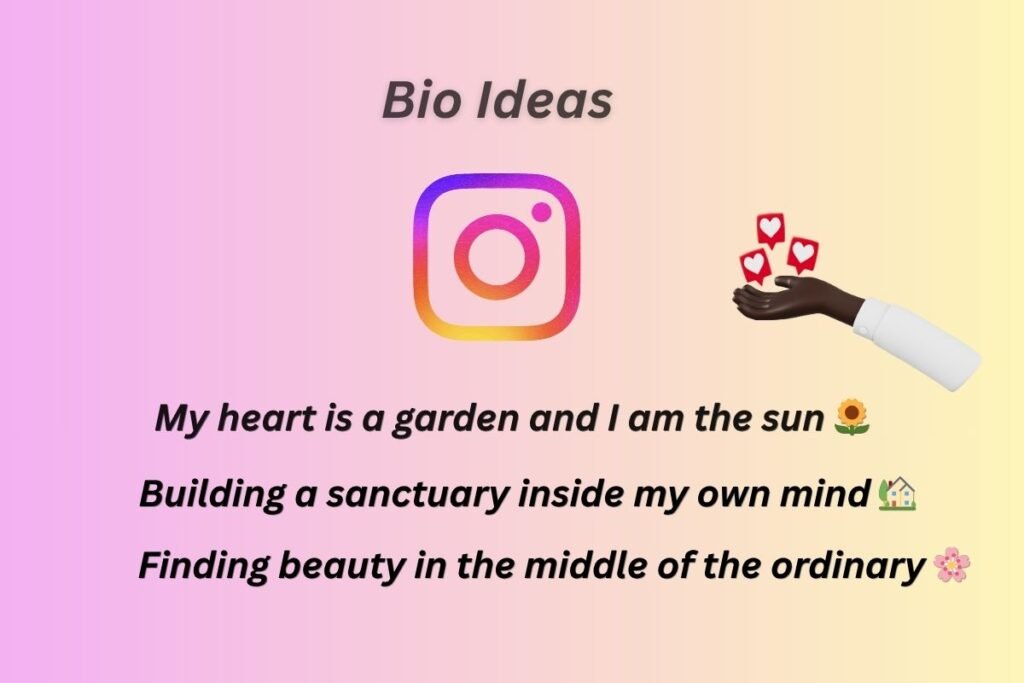 Classy Instagram Bio Aesthetic