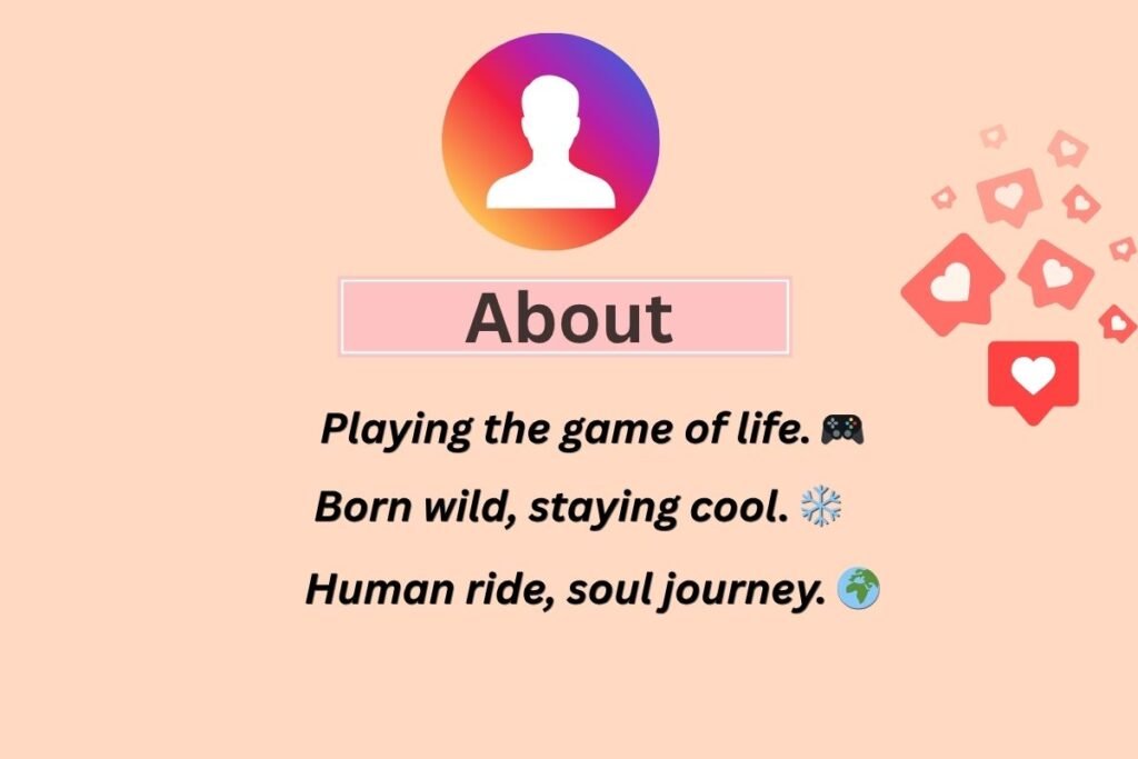 Cool Instagram Bio For Boys