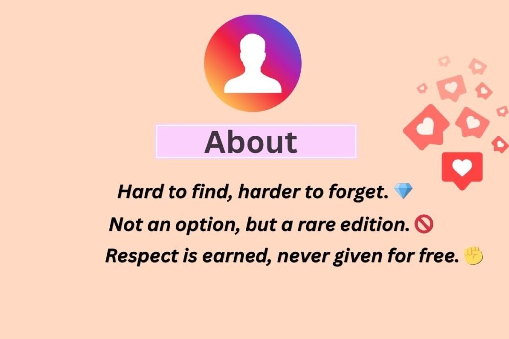 Instagram Bio For Boys Attitude