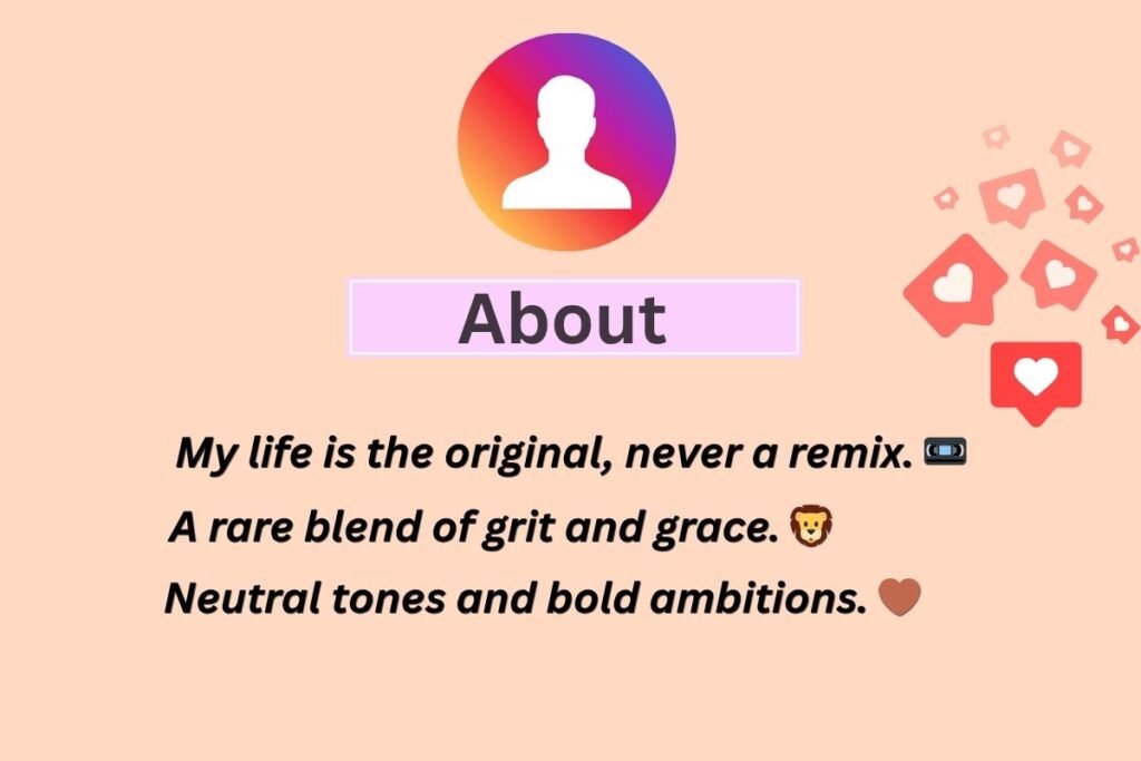 Instagram Bio For Boys Stylish
