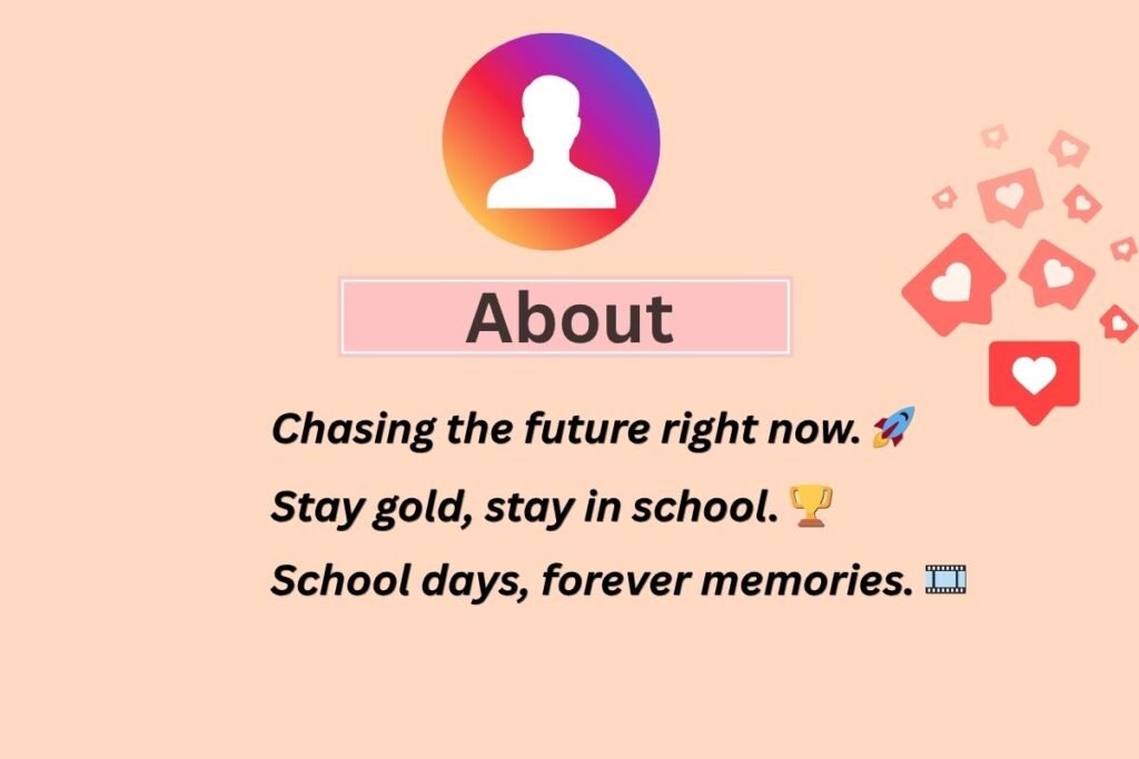 Instagram Bio For School Boy