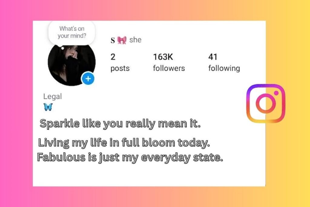 Instagram Bio for Girls Stylish