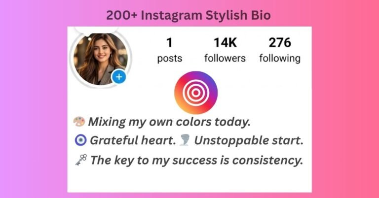 Instagram Stylish Bio