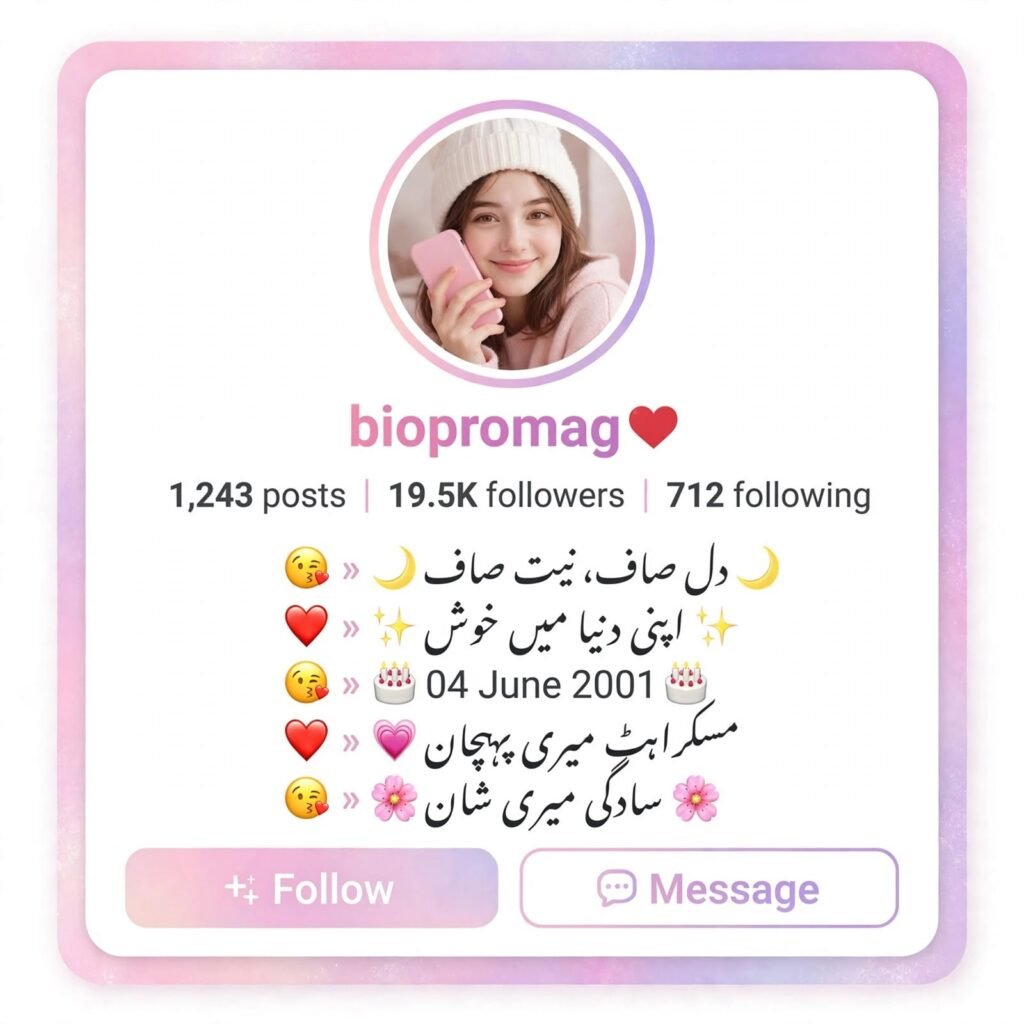 Amazing Instagram Bio in Urdu
