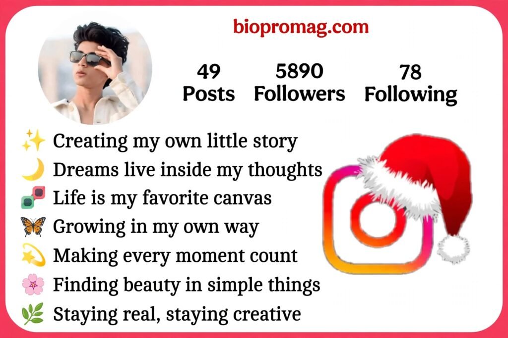Instagram Bio Creative Ideas