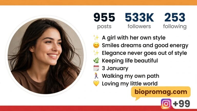 Stylist Bio for Instagram for Girl
