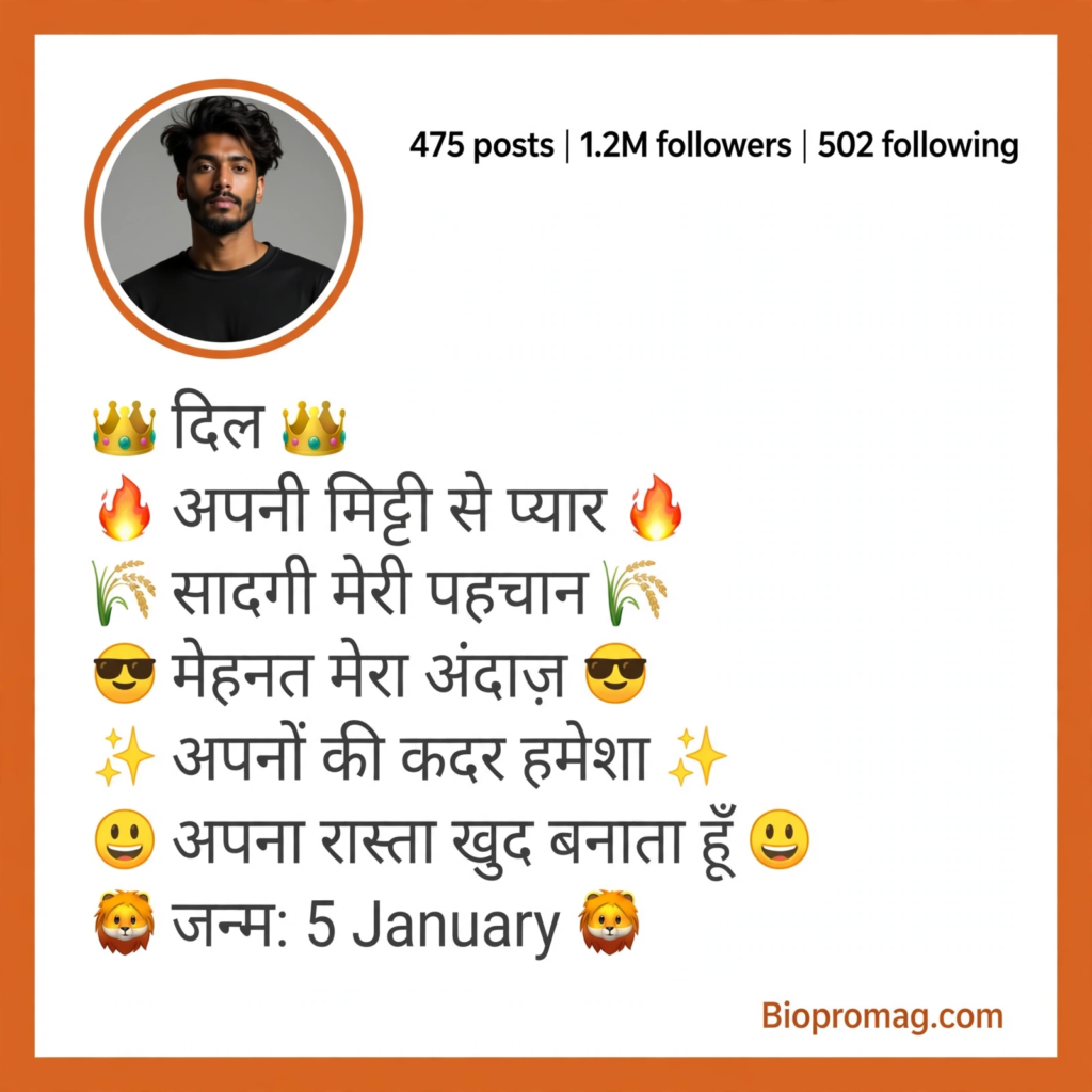 Desi Attitude Bio for Instagram