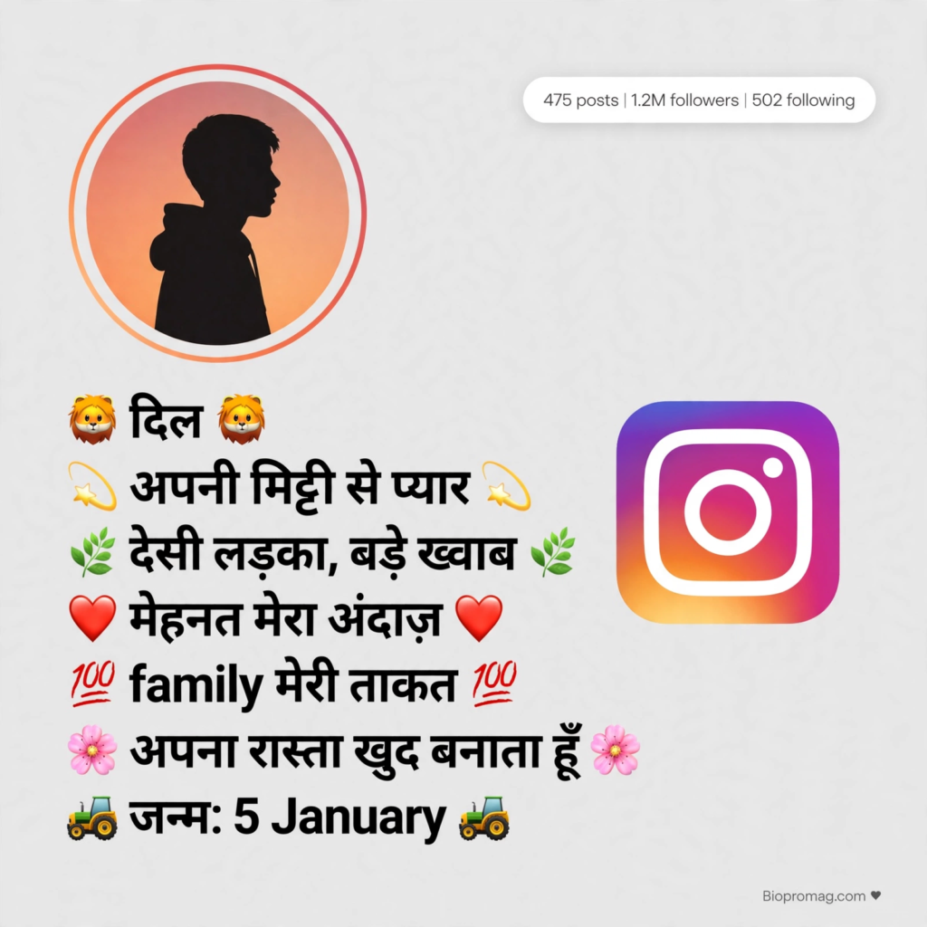 Desi Bio for Instagram in Hindi