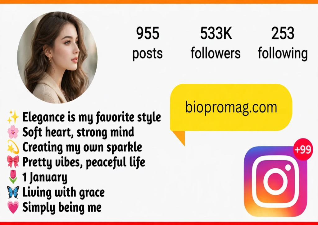 Stylish Bio for Instagram for Girls