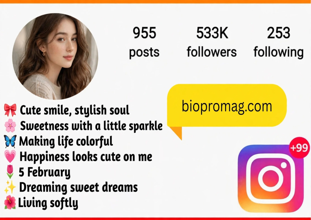 Cute Stylish Instagram Bios for Girls