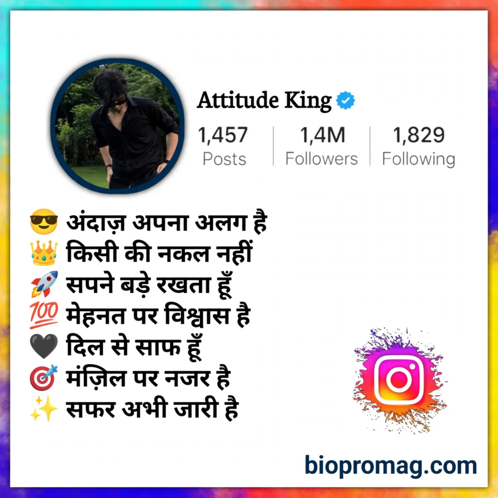 Instagram bio quotes for boy in Hindi