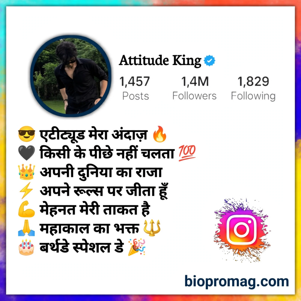 Instagram bio for boys' attitude in Hindi