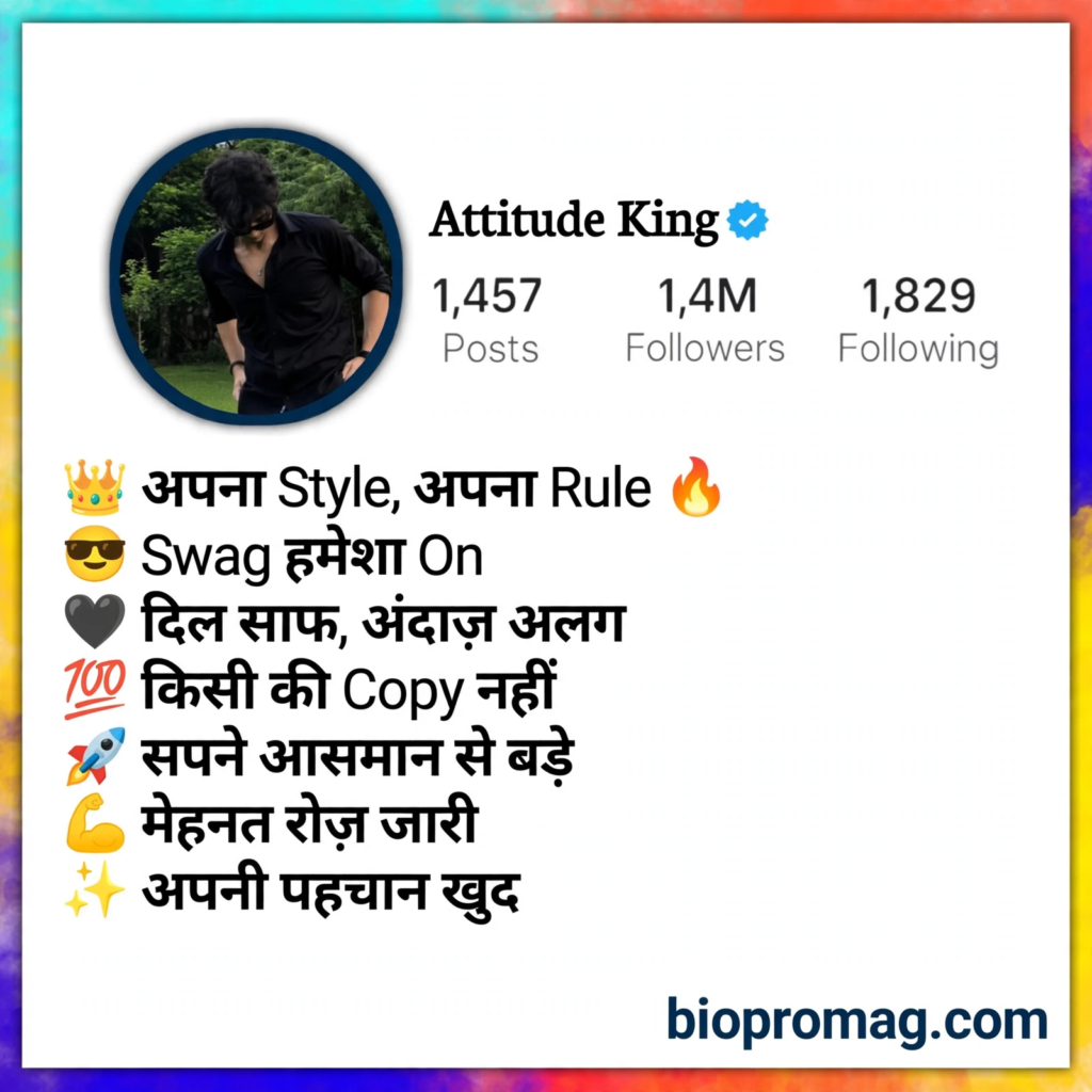swag bio for Instagram for boy in Hindi