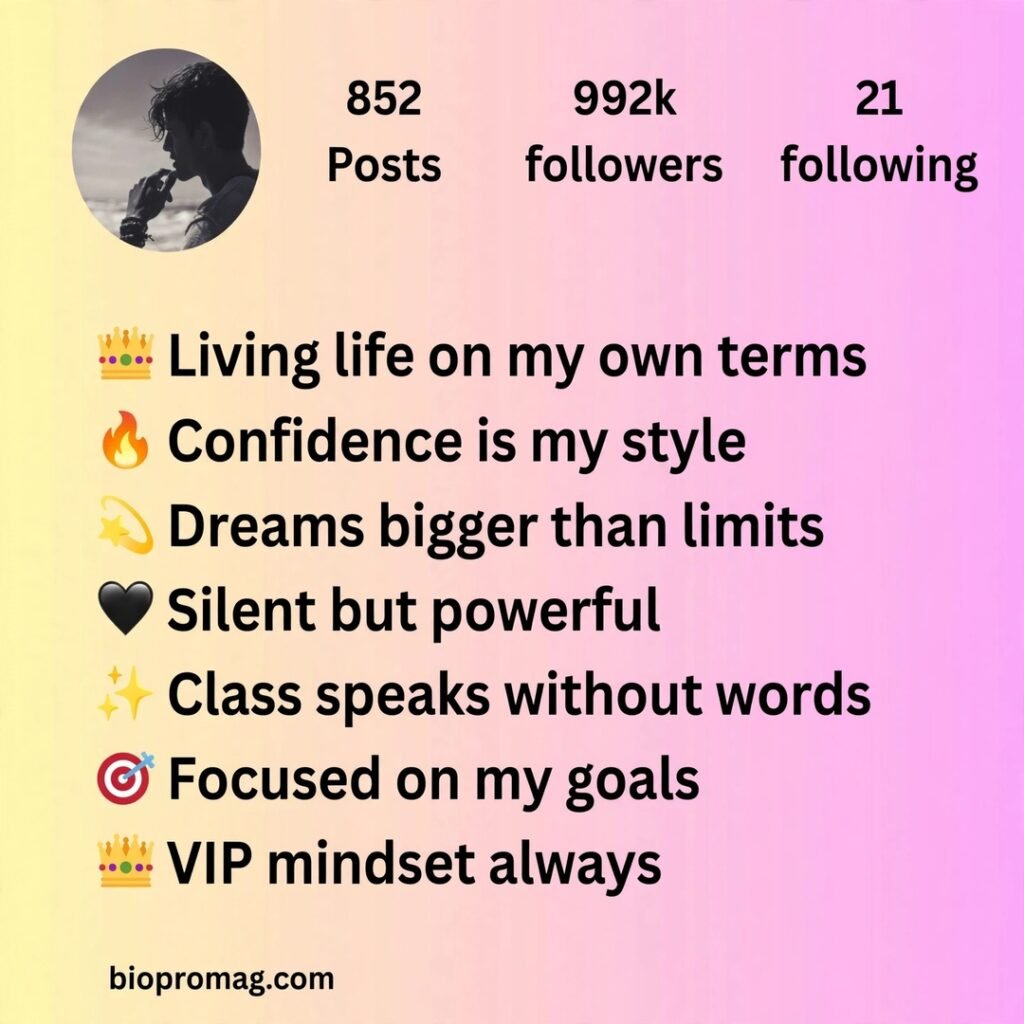 instagram vip bio for boy