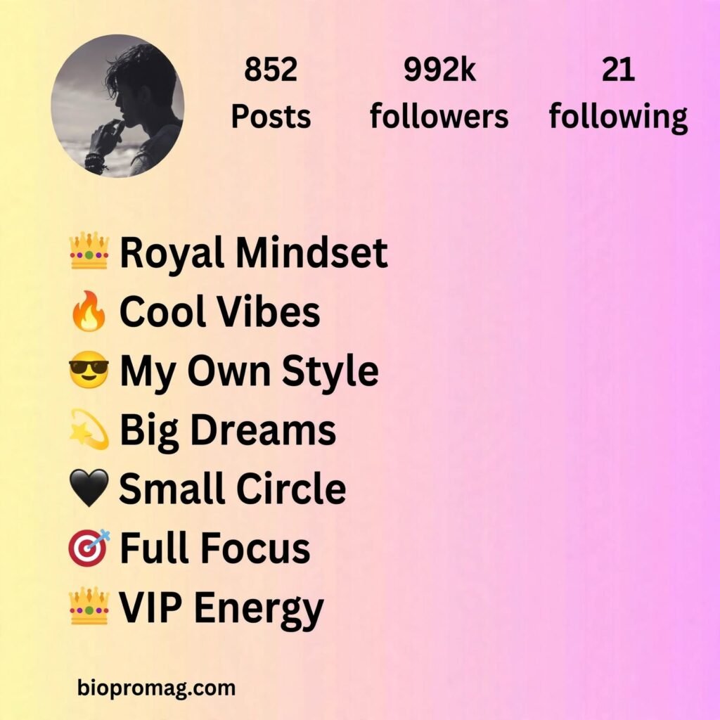 instagram vip bio stylish font for boy
